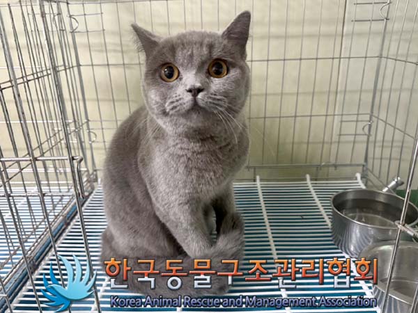 한국동물구조관리협회_441392202400206